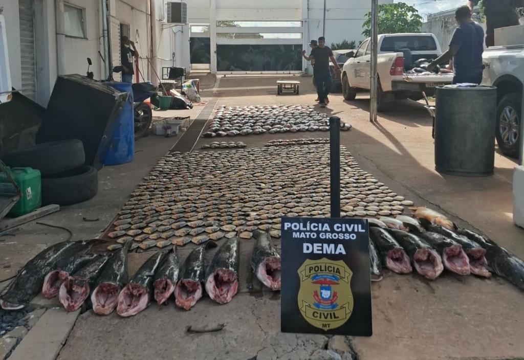 Polícia Civil apreende mais de 900 quilos de pescado irregular e desarticula esquema de pesca predatória.